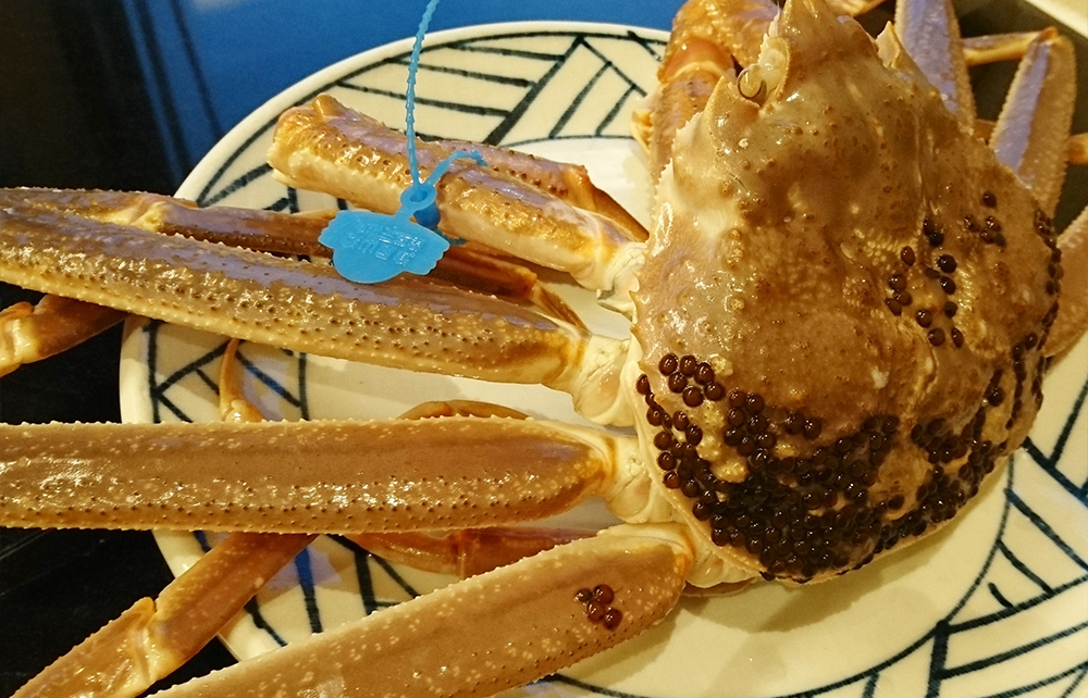 津居山港直送松葉ガニ 一杯